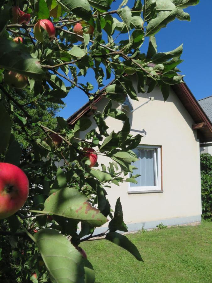 Haus Irmi Bed & Breakfast Knittelfeld Exterior foto